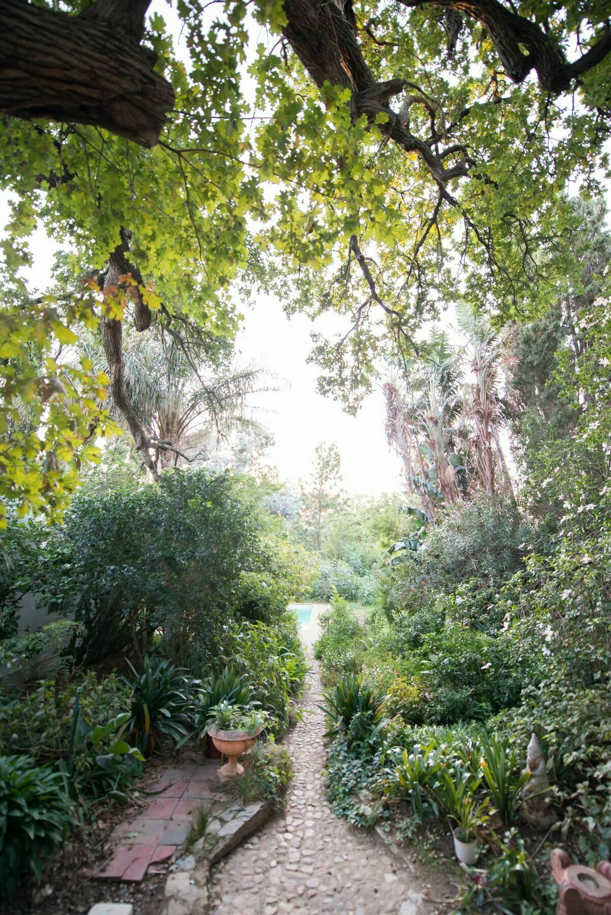 Tulbagh Country Guest House - Cape Dutch Quarters エクステリア 写真